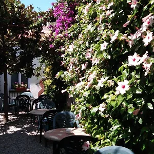  Hotel Mitus